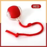 ราคา บ้านแมว ที่นอนแมว คอนโดแมว ที่นอนสัตว์เลี้ยง ที่ฝนเล็บแมว ที่ลับเล็บแมว บ้านลับเล็บแมว ของใช้แมว กล่องแมว ของเล่นแมว (24300275297)