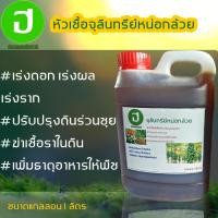 ราคา จุลินทรีย์หน่อกล้วยชนาด แกลลอน1 ลิตร (693168155)