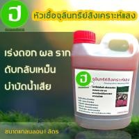 ราคา หัวเชื้อจุลินทรีย์สังเคราะห์แสงขนาดแกลลอน 1 ลิตร (693096931)