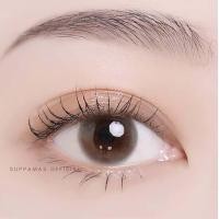 ราคา คอนแทคเลนส์ Mini bom Gray Brown Kitty Kawaii ขนาดมินิ (16975568298)