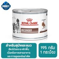 ราคา Royal Canin Vet Diet Recovery Cannedอาหารสำหรับสุนัขและแมว พักฟื้น 195 กรัม (7905787935)
