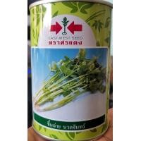 ราคา เมล็ดพันธุ์ ขึ้นฉ่าย นวลจันทร์ 50 กรัม คื่นฉ่าย ตังฉ่าย หมดอายุ03 07 2569 (13500391036)