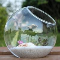 ราคา Viphome Terrarium ภาชนะใสแจกันแก้วสำหรับการตกแต่งบ้านปาร์ตี้ในสวน (22836874170)