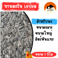 ราคา เมล็ดทานตะวัน เอป้อม 1kg อาหารนก ขนาดกลาง ใหญ่ (24063303336)