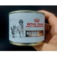ราคา รอยัลคานินสำหรับสัตว์ป่วย Royal Canin Veterinary Recovery กระป๋อง 195g อาหารเปียกรอยัลคานินสำหรับสุนัข แมวป่วย (24082763765)