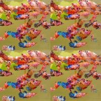 ราคา ปลากัดนีโม่ โค่ย แคนดี้ มัลติ เพศหญิง เลี้ยงรวมได้ (24507423441)