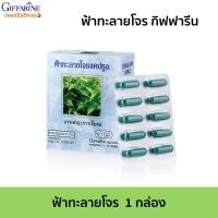 ราคา ยาฟ้าทะลายโจร ฟ้าทะลายโจรแคปซูล ฟ้าทะลายโจร ผลิตด้วยคุณภาพมาตรฐาน G207 43 ขนาด 50 แคปซูล (6085486550)