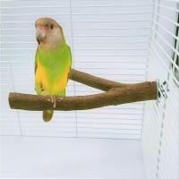 ราคา ที่วางนกแก้ว แท่นไม้ อุปกรณ์นก เครื่องบดกรงเล็บนก ร้านขายไม้พริกไทย เหยียบ สปริงบอร์ด ฟันและปีน (24858896554)