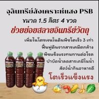 ราคา หัวเชื้อจุลินทรีย์สังเคราะห์แสง PSB 100 ขนาด 1 5 ลิตร 4 ขวด (23451829519)