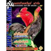 ราคา ไข่ไก่ชนพม่าสายเลือดดีนำเข้าผสมกับสายแม่ของส มีสุวรรณโรงหมี่ป วุฒิโกเซ็ม พิเศษในราคาฟองละ 120 บาทซื้อ 3 ฟองแถม 1 ฟองซื้อ 5 ฟองแถม 2 ฟอง (10854467588)