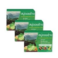 ราคา สบู่ดอยช้าง สบู่สมุนไพร 3 ชนิด ดับกลิ่นแก่ กล่องสีเขียว ขนาด 50 กรัม 3 ก้อน (24975537145)