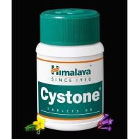 ราคา Himalaya Cystone 60 Tablets (20138608753)