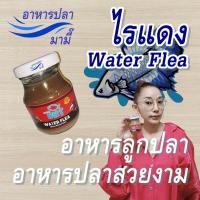 ราคา ไรแดง อาหารปลา UHT Fish Food อาหารปลากัด ปลาสวยงาม ไลแดงสด อาหารปลาหางยุง อาหารลูกปลา อาหารลูกปลากัด ไรแดงสด ไรแดงแช่แข็ง ไรแดงอัดเม็ด (19487327860)
