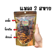 ราคา ใหม่ แมลงทอด3สหาย แมลงรวมดักแด้ สะดิ้ง จิ้งหรีด ในถุงใหญ่ ถุงเดียว สุดคุ้มสำหรับคนอยากทดลองทาน กรอบ หอม อร่อยชัวร์ (24188324693)