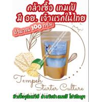 ราคา Tempeh กล้าเชื้อเทมเป้ 100 กรัม หัวเชื้อจุลินทรีย์สำหรับทำเทมเป้ (8329615860)
