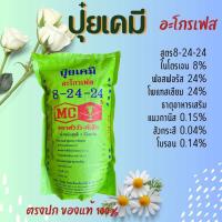 ราคา ปุ๋ย สูตร 8 24 24 ปุ๋ยเคมี อะโกรเฟส ตราหัววัวคันไถ 1 กิโลกรัม (19090776910)