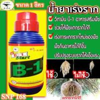 ราคา ฉลากใหม่ B Start B1 น้ำยาเร่งราก สูตรเข้มข้น ขนาด 1000cc 1 ลิตร ตรา ที เร็กซ์ T REX บำรุงราก ใช้ เพาะเมล็ด กิ่งตอน ปักชำ (10129170556)