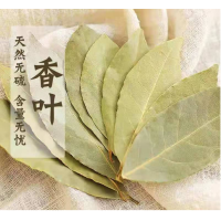 ราคา ใบกระวานแห้ง ใบกระวาน bay leaf 100 กรัม 1bag ตราNTF (23148577089)