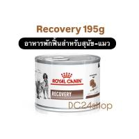ราคา Royal Canin Recovery 195g อาหารสัตว์ป่วย พักฟื้น บำรุงสุขภาพ (22826283545)