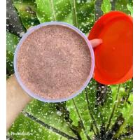 ราคา 1กระปุก กะปิ กะปิระนอง กะปิกุ้ง กะปิกุ้งเคยแท้ กะปิใต้ กะปิแท้ กะปิระนองแท้ ของดีเมืองระนอง Shrimp paste ขนาดกระปุก 500 กรัม RanongKongFak (2504182811)