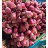 ราคา หอมแดง พื้นบ้านปลอดสารพิษ สามารถนำไปปลูกได้ 1กิโล 80 บาท (17212595647)