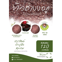 ราคา ข้าวฮางงอกไรซ์เบอรี่แท้ 100 น้ำหนัก 1 กิโลกรัม ข้าวฮางธาราทิพย์ ข้าวเพื่อสุขภาพ (21751224143)