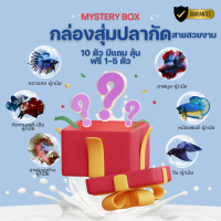 ราคา ปลากัด สูตรลุ้นปลากัดสวยงาม คราวเทล เฮวบอย กาเลคซี่ จีน หม้อแฟนซี ฮาฟมูน และอีกมากมาย (23732360175)