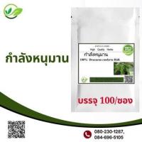 ราคา กำลังหนุมาน หนุมานกำลัง ผงแท้100 ไม่ผสมชนิดแคปซูล โพธิ์พญา บรรจุ 100 (16477326781)