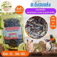 ราคา สะดิ้งอบแห้ง อาหารชูก้าไรเดอร์ อาหารแฮมส์เตอร์ หนู ลิง ปลา เม่นแคระ กระรอก นก กิ้งก่า อื่นๆ (16997942758)