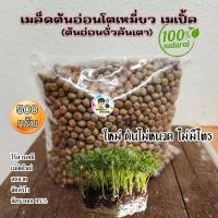 ราคา เมล็ดต้นอ่อนโต้วเหมี่ยว ต้นอ่อนถั่วลันเตา โตเหมี่ยวเพาะงอก (24246182444)