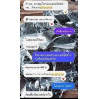 ราคา สมุนไพรเวาะกานิง ทานได้ สอดได้ (23784341526)