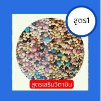 ราคา Bird Food อาหารนก นกเขาเล็ก นกเขาชวา 1 กิโลกรัมx1ถุง เลือกสูตรได้ (24684350552)