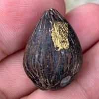 ราคา คตมะพร้าว มหาอุตม์ เครื่องรางทนสิทธิ์มีฤทธิ์ในตนเอง (24905969416)