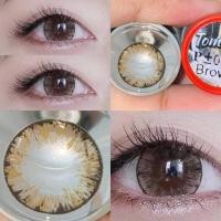 ราคา เกล็ดหิมะ คอนแทคเลนส์ รุ่น Tommy สีเทา ตาล Gray Brown มีค่าสายตา 0 00 10 00 (24050613253)