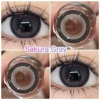 ราคา คอนแทคเลนส์ รุ่น Sakura Edge สีเทา ตาล Gray Brown (24050707309)