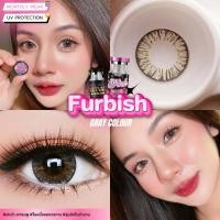 ราคา คอนแทคเลนส์ ขนาดบิ๊กอาย Brown Gray Furbish Wink (24606456982)