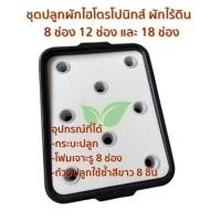 ราคา ชุดปลูกผักไฮโดรโปนิกส์ ผักไทยแบบน้ำนิ่ง 8 12 15 ช่องปลูก แถมฟรี ปุ๋ย AB 250 ml เมื่อซื้อครบ 5 ชุดใขึ้นไป (22655441541)