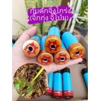 ราคา กับดักจิ้งหรีด กับดักจิ้งโกร่ง กับดักจิ๊กกุ่ง กับดักจิ๊โป่ม ที่ดักจิ้งหรีด ที่ดักจิ้งโกร่ง กับดักจิ้งหรีด ที่ดัก กับดัก ไม่ต้องขุด ไม่ต้องใช้เหยื่อล่อ (19204953786)