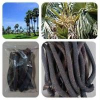 ราคา งวงตาลหมักปลากัดสมุนไพรอย่างดี (24563870150)