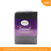 ราคา ข้าวฮางงอกงอกไรซ์เบอรี่ ข้าวไรซ์เบอรี่ ออร์แกนิคแท้ สะอาด ปลอดภัย รับรอง การผลิตได้มาตรฐาน ข้าวใหม่เก็บได้นาน น้ำหนัก 1 kg (9031391875)