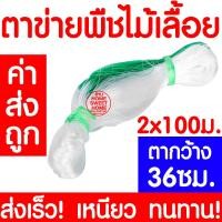 ราคา ค่าส่งถูก ตาข่ายปลูกผัก อวนแตง ตา 36 ซม ตาข่ายปลูกพืชผัก ค้างแตง อวนค้างแตง อวนมะระ อวนปลูกแตงกวา อวนปลูกผัก ตาข่ายปลูกแตง ไม้เลื้อย (10633361972)