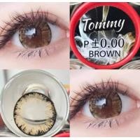 ราคา มีค่าสายตา 0 00 10 00 คอนแทคเลนส์ รุ่น tommy Gray Brown Black (24055827103)