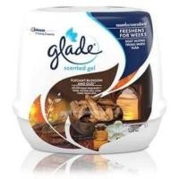 ราคา glade เกลดเซ็นเด็ด เจอ น้ำหอมปรับแากาศ จนาด180กรัม (18009108640)