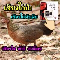 ราคา เสียงไก่ป่าตัวเมีย เสียงใสเข้าดี มีบริการเก็บเงินปลายทาง (21254885384)