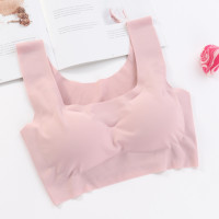 ราคา สปอร์ตบรา B 024 บราไร้ขอบไร้โครงไร้ตะเข็บ ฟองน้ำถอดได้ ผ้าลื่นใส่สบาย พร้อมส่ง (23747963248)