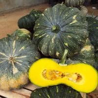 ราคา ฟักทอง ทองคำ 443 ฟักทอง ทองอำพัน 426 ฟักทอง พันธุ์ คางคก ฟักทอง ประกายเงิน บรรจุ 50 เม็ลด ลูกดก เนื้อแน่น เมล็ดฟักทอง สำหรับปลูก (20579589680)