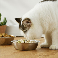 ราคา Aimayapet ชามแมวสแตนเลส ชามอาหารสัตว์เลี้ยง ชามสุนัข ที่ป้องกันคอสัตว์เลี้ยง สูง 15 เท ป้องกันคางคล้ํา (24006828487)