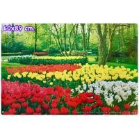 ราคา ภาพเปล่าไม่มีกรอบรูป มีหลายแบบ รูปภาพโปสเตอร์ ขนาด40 50 cm และ 60 89 cm วิว น้ำตก ทะเล ดอกไม้ ทิวลิป ซากุระ ภูเขา ไม่มีกาวไม่ใช่สติ๊กเกอร์ (13486655724)