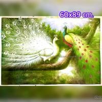 ราคา รูปภาพนกยูงลำแพน นกยูงคู่ ภาพโปสเตอร์ ขนาด 60x89 cm (5026524559)