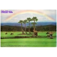 ราคา ภาพเปล่าไม่มีกรอบรูป มีหลายแบบ รูปภาพโปสเตอร์ ขนาด40 50 cm และ 60 89 cm วิว น้ำตก ทะเล ดอกไม้ ทิวลิป ซากุระ ภูเขา ไม่มีกาวไม่ใช่สติ๊กเกอร์ (13486655717)